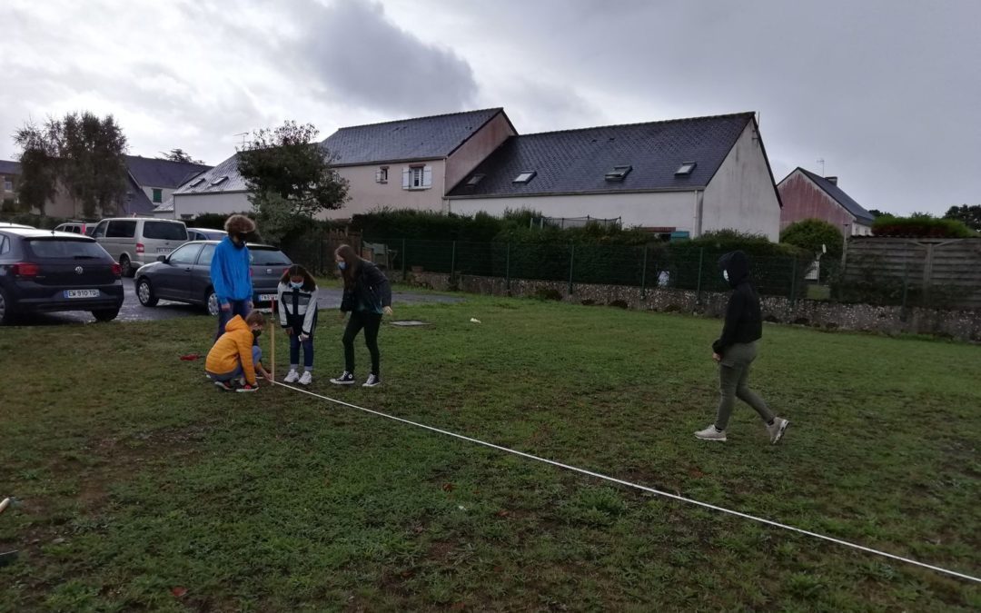 Le 4 décembre, nous planterons une mini-forêt de 600 arbres au lycée !