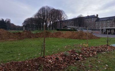 Du nouveau au jardin et 100 m3 de terre pour la petite forêt