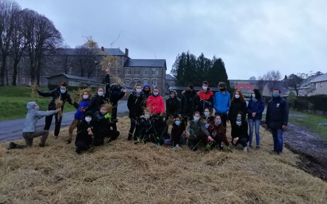 Mini Big Forest : préparation de la butte de terre