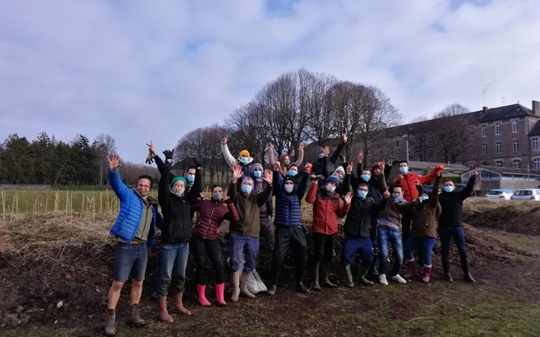 Nous avons planté une mini forêt de 600 arbres !