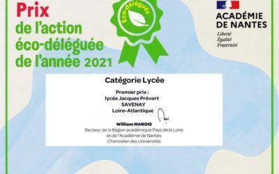 Notre lycée a gagné le premier prix académique de l’action éco-déléguée