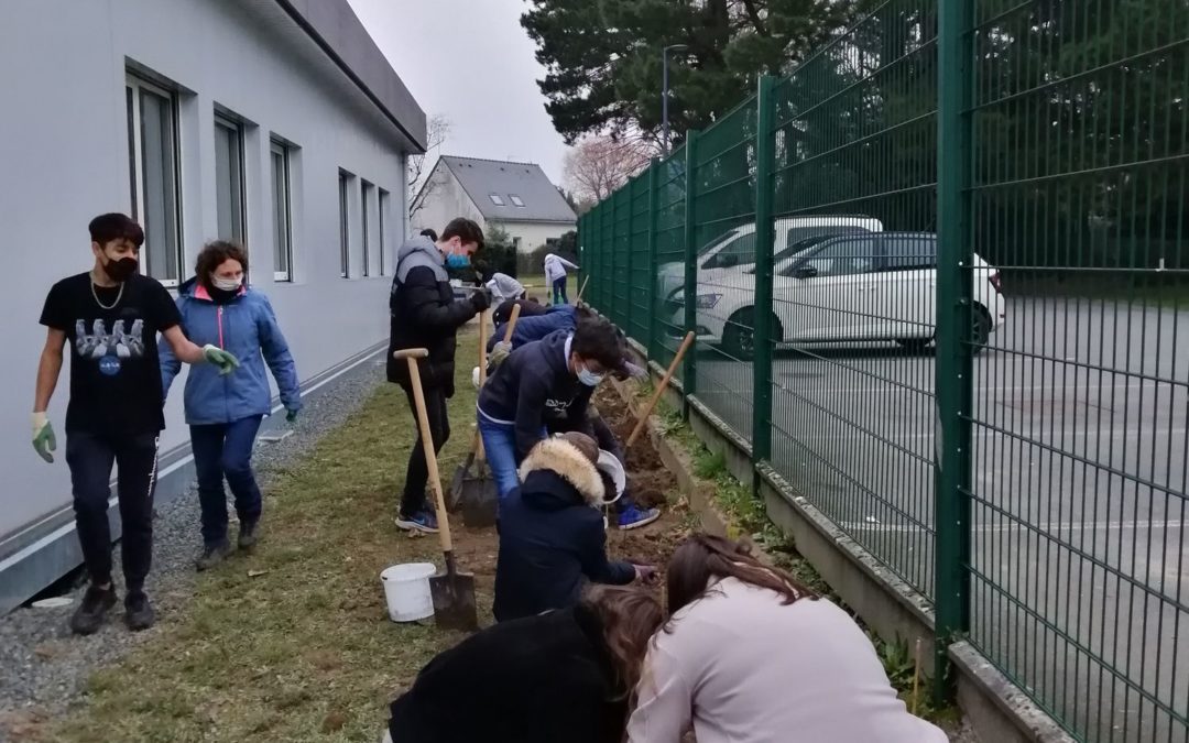 Plantation des haies des 2nde9 et 2nde11