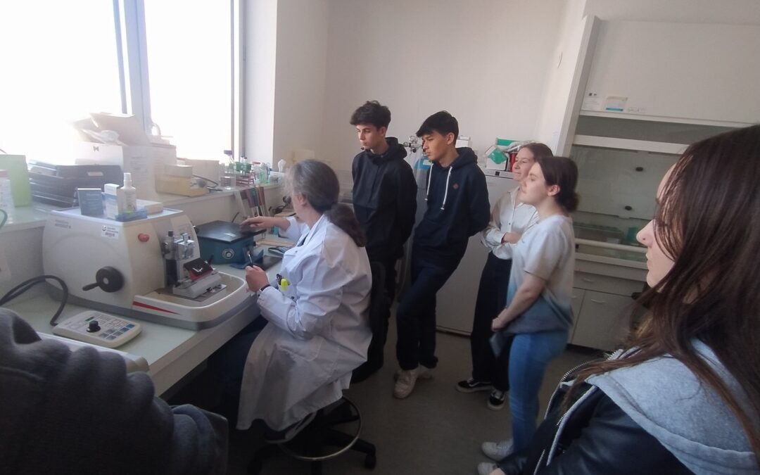 Des élèves de 1ère SVT ont visité les labos de l’INSERM
