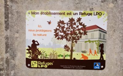 Les jardins pédagogiques du lycée labellisés refuge LPO !